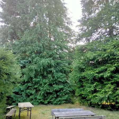 Bed & Breakfast Chalet Du Lac